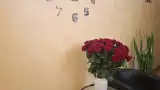 Гостевой дом «Ардо», г. Краснодар